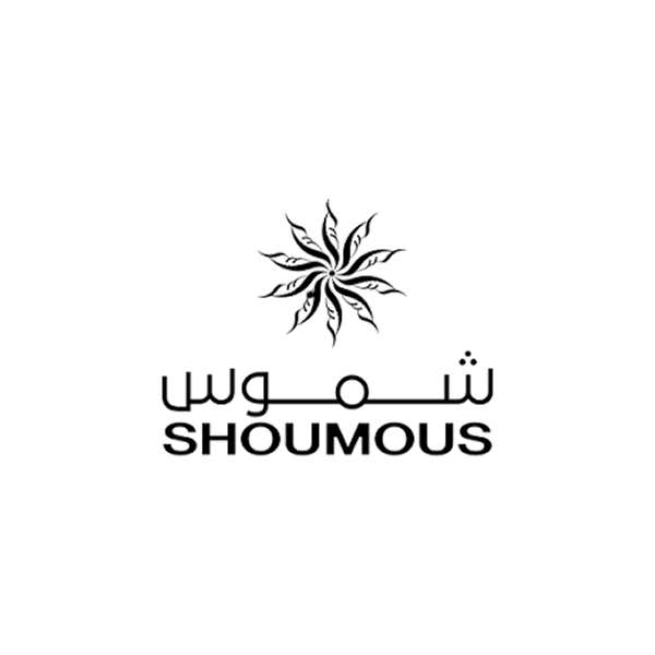 Developer Logo 3